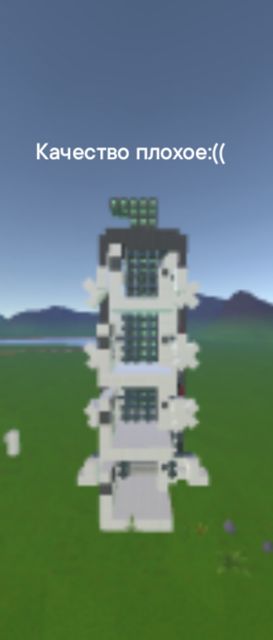1000036613.jpg