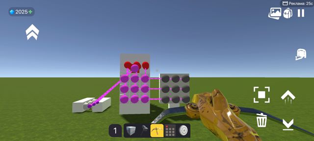 1000012407.jpg