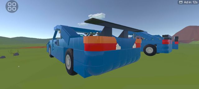 silvia6.jpg